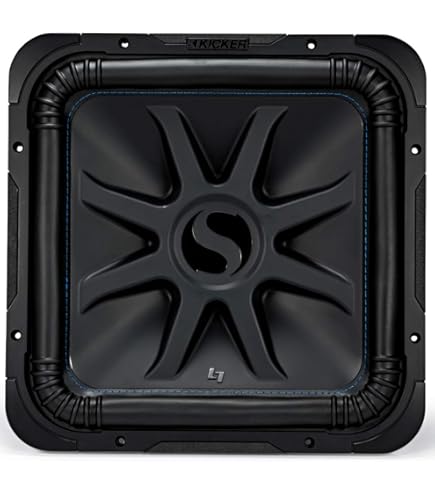 Amazon.com: KICKER Subwoofer Package of 2 Items: 15